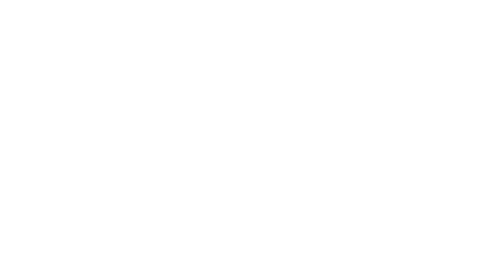 Perfecta Salon Logo